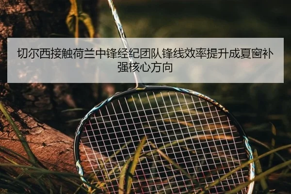 切尔西接触荷兰中锋经纪团队锋线效率提升成夏窗补强核心方向